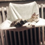 Висококачествен хамак стоянка легло за котка със закачалка за радиатор или ограда, меко и оютно висящо легло стойка за котки